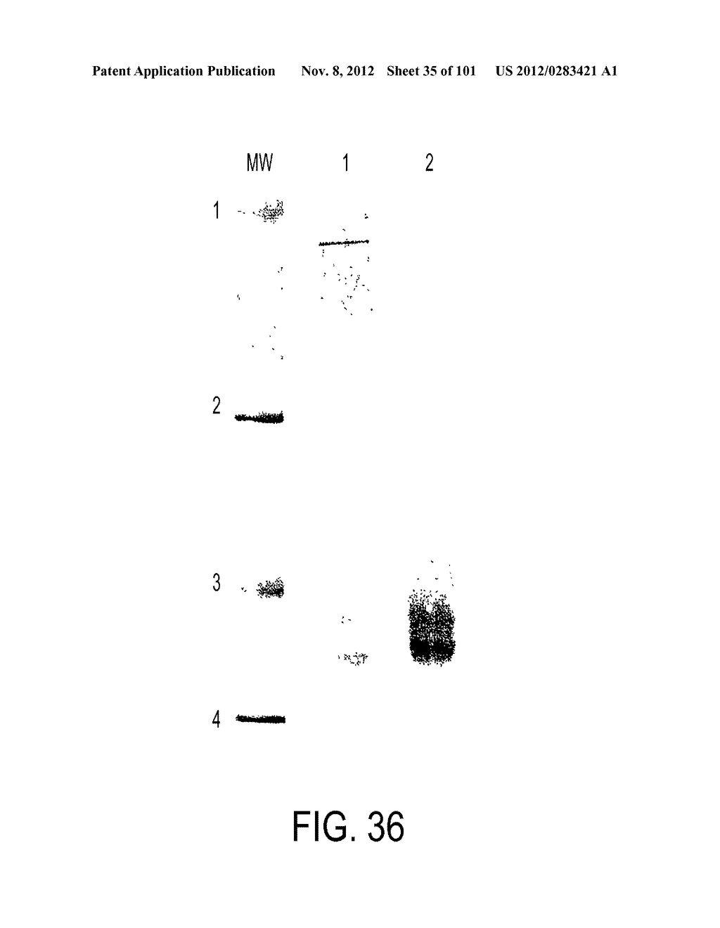 METHODS AND REAGENTS FOR DECREASING CLINICAL REACTION TO ALLERGY - diagram, schematic, and image 36