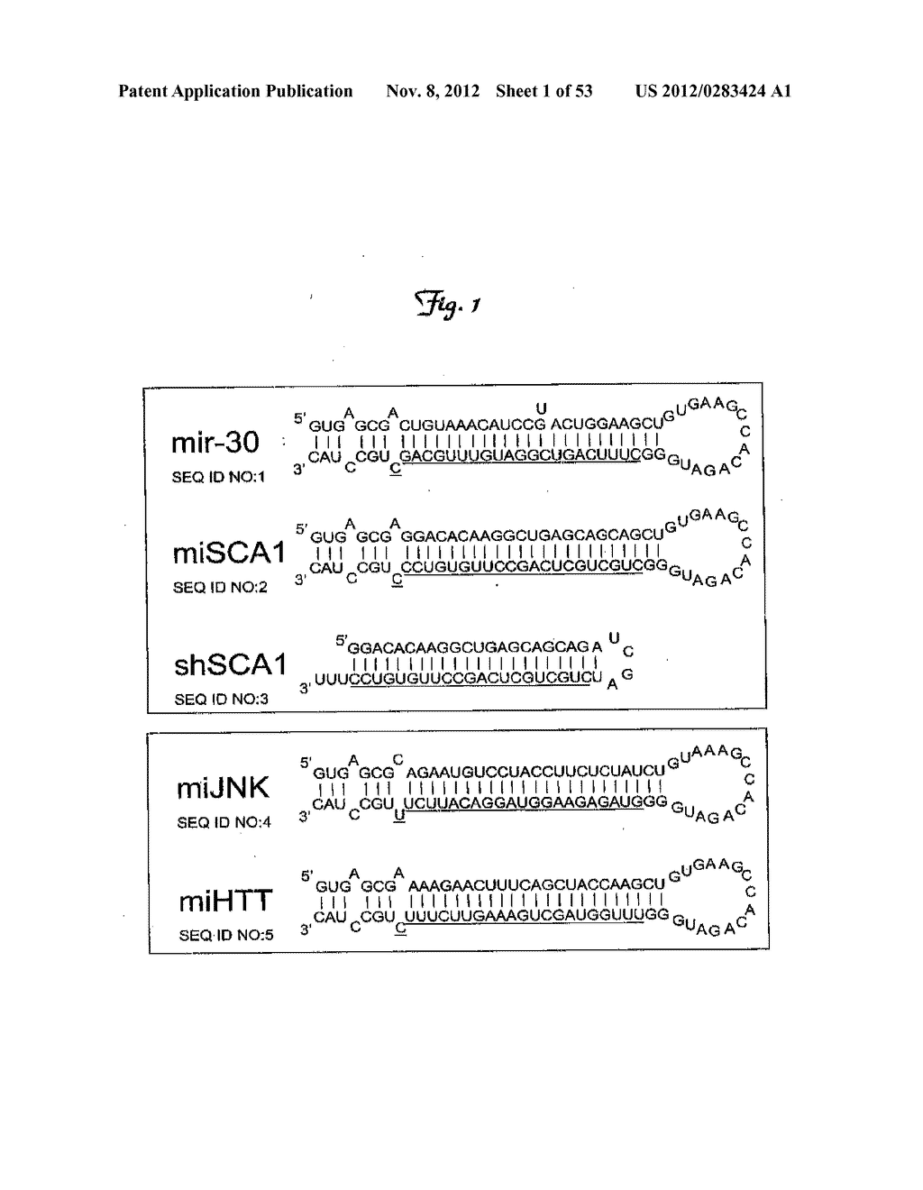 REDUCTION OF OFF-TARGET RNA INTERFERENCE TOXICITY - diagram, schematic, and image 02