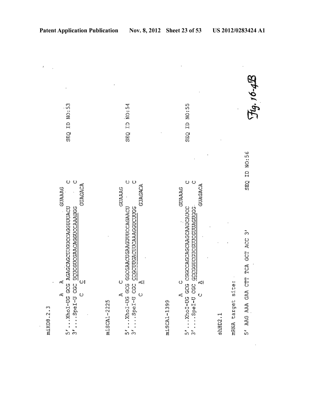 REDUCTION OF OFF-TARGET RNA INTERFERENCE TOXICITY - diagram, schematic, and image 24