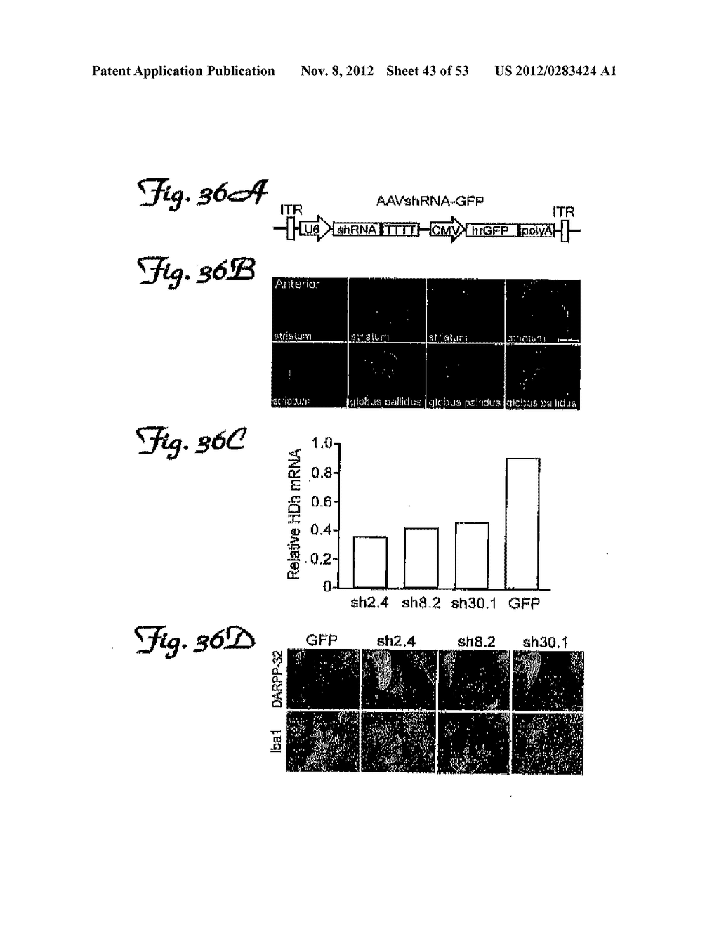 REDUCTION OF OFF-TARGET RNA INTERFERENCE TOXICITY - diagram, schematic, and image 44