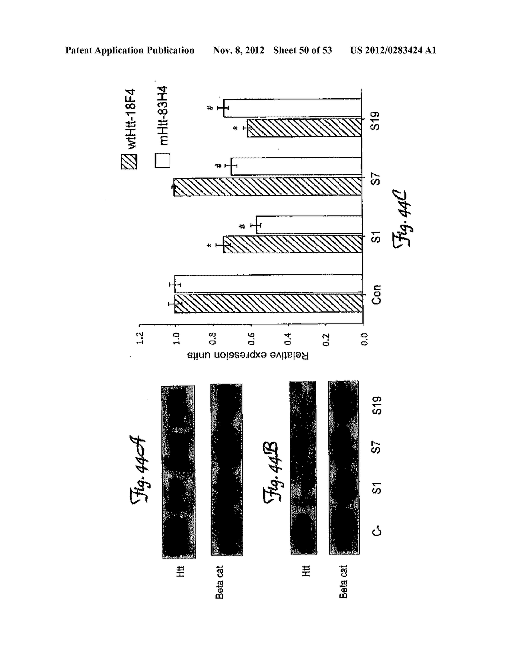 REDUCTION OF OFF-TARGET RNA INTERFERENCE TOXICITY - diagram, schematic, and image 51