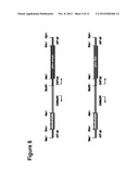 Renewable Chemical Production From Novel Fatty Acid Feedstocks diagram and image