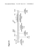 Renewable Chemical Production From Novel Fatty Acid Feedstocks diagram and image