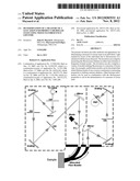 Determination of a Measure of a Glycation End-Product or Disease State     Using Tissue Fluorescence Lifetime diagram and image