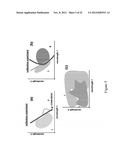 Determination of a Measure of a Glycation End-Product or Disease State     Using Tissue Fluorescence Lifetime diagram and image