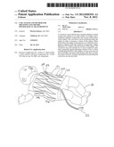 COIL SYSTEM AND METHOD FOR OBTAINING VOLUMETRIC PHYSIOLOGICAL MEASUREMENTS diagram and image