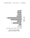 FAR-INFRARED RADIATION IN USE OF IMPROVING PATENCY OF ARTERIOVENOUS     FISTULA, DECREASING FAILURE OF ARTERIOVENOUS FISTULA MATURATION, AND     PREVENTING AND/OR AMELIORATING PERIPHERAL ARTERY DISEASES diagram and image