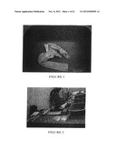 FAN FOLDED FASCIA LATA FOR CRUCIATE LIGAMENT SUBSTITUTION AND METHOD AND     APPARATUS FOR MAKING THE SAME diagram and image