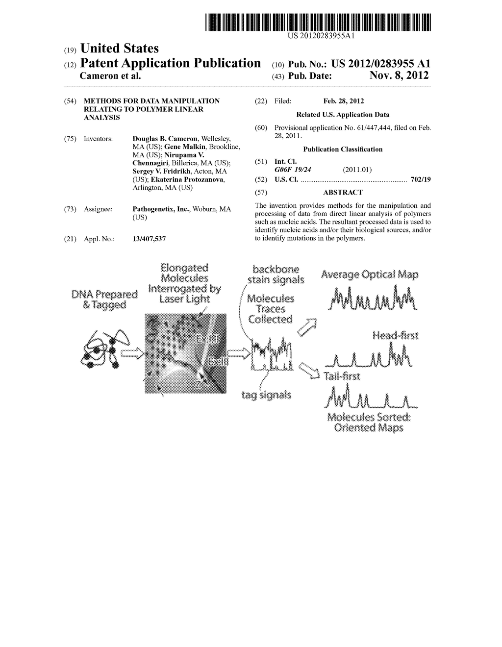 METHODS FOR DATA MANIPULATION RELATING TO POLYMER LINEAR ANALYSIS - diagram, schematic, and image 01