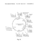 METHODS FOR DATA MANIPULATION RELATING TO POLYMER LINEAR ANALYSIS diagram and image