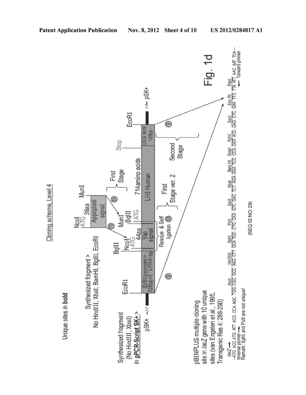 COLLAGEN PRODUCING PLANTS AND METHODS OF GENERATING AND USING SAME - diagram, schematic, and image 05