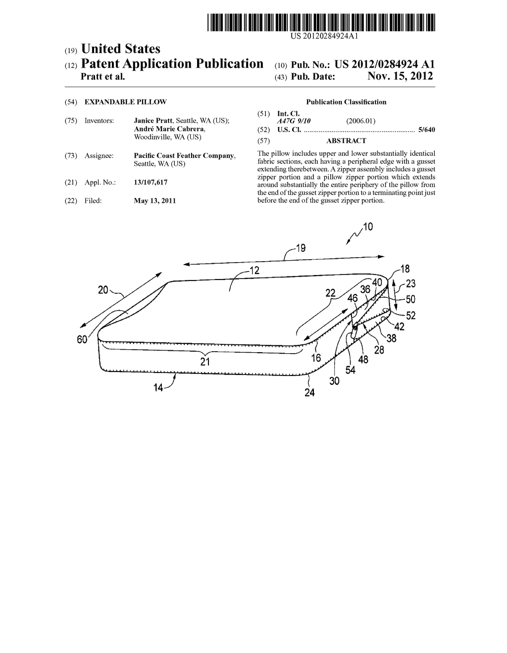 EXPANDABLE PILLOW - diagram, schematic, and image 01