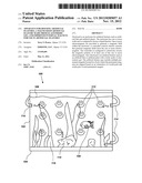 APPARATUS FOR HOUSING ARTIFICIAL FEATURES, A MAGNETIZED ARTIFICIAL FEATURE     MADE FROM ELASTOMERIC GEL, AND IMPROVED INTERNAL MAGNETS FOR USE IN     ARTIFICIAL FEATURES diagram and image