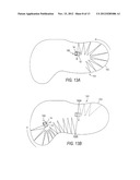 DIRECTIONAL CONTROL METHOD AND APPARATUS FOR DUAL BRUSH ROBOTIC POOL     CLEANERS diagram and image