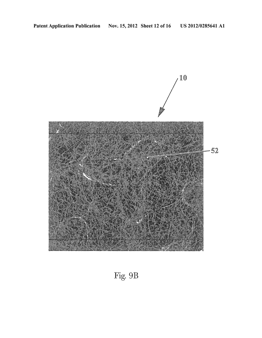 ABSORBENT PAPER PRODUCT HAVING NON-EMBOSSED SURFACE FEATURES - diagram, schematic, and image 13