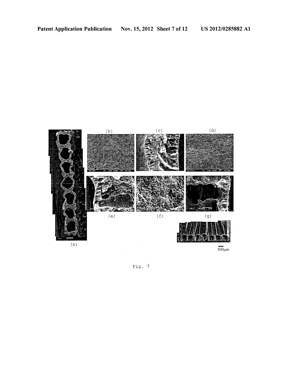 MEMBRANE AND METHOD FOR PRODUCING THE SAME - diagram, schematic, and image 08