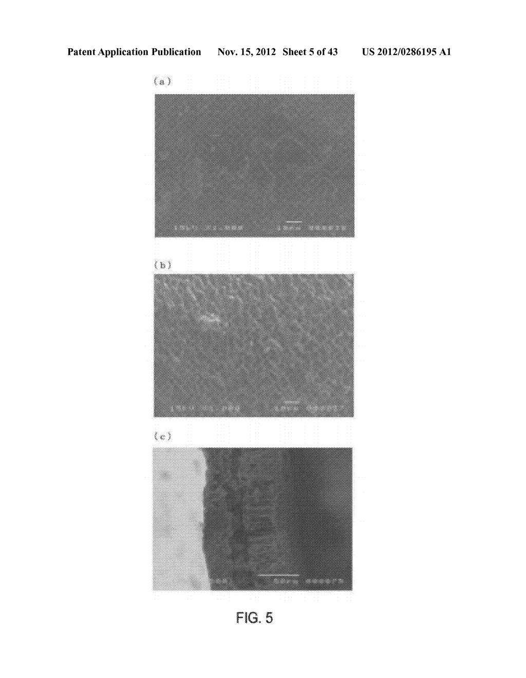 HEAT CONDUCTING MEMBER AND ADSORBENT USING BURNED PLANT MATERIAL - diagram, schematic, and image 06