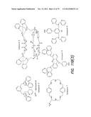 LOW NOISE CHEMICALLY-SENSITIVE FIELD EFFECT TRANSISTORS diagram and image