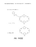 LOW NOISE CHEMICALLY-SENSITIVE FIELD EFFECT TRANSISTORS diagram and image