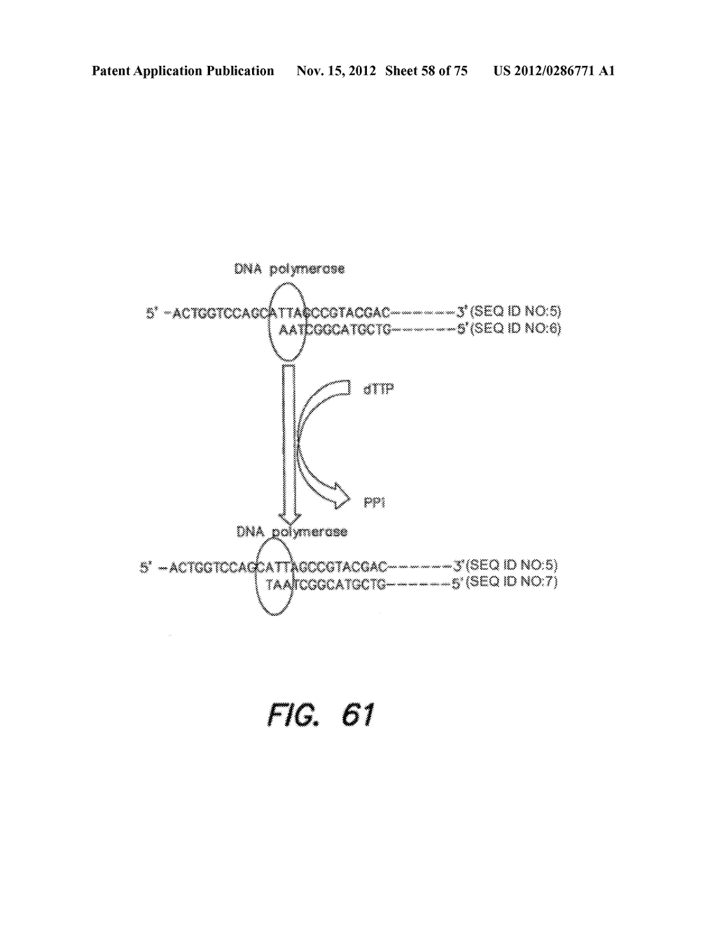 METHODS FOR CALIBRATING AN ARRAY OF CHEMICALLY-SENSITIVE SENSORS - diagram, schematic, and image 59