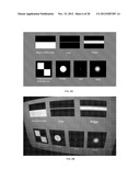 DISPLAY SCREEN FOR CAMERA CALIBRATION diagram and image