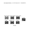 AUTOMATIC DILUTION FOR MULTIPLE ANGLE LIGHT SCATTERING (MALS) INSTRUMENT diagram and image