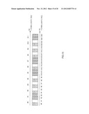 WIRELESS COMMUNICATION TERMINAL APPARATUS, WIRELESS COMMUNICATION BASE     STATION APPARATUS AND WIRELESS COMMUNICATION METHOD diagram and image