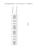 WIRELESS COMMUNICATION TERMINAL APPARATUS, WIRELESS COMMUNICATION BASE     STATION APPARATUS AND WIRELESS COMMUNICATION METHOD diagram and image