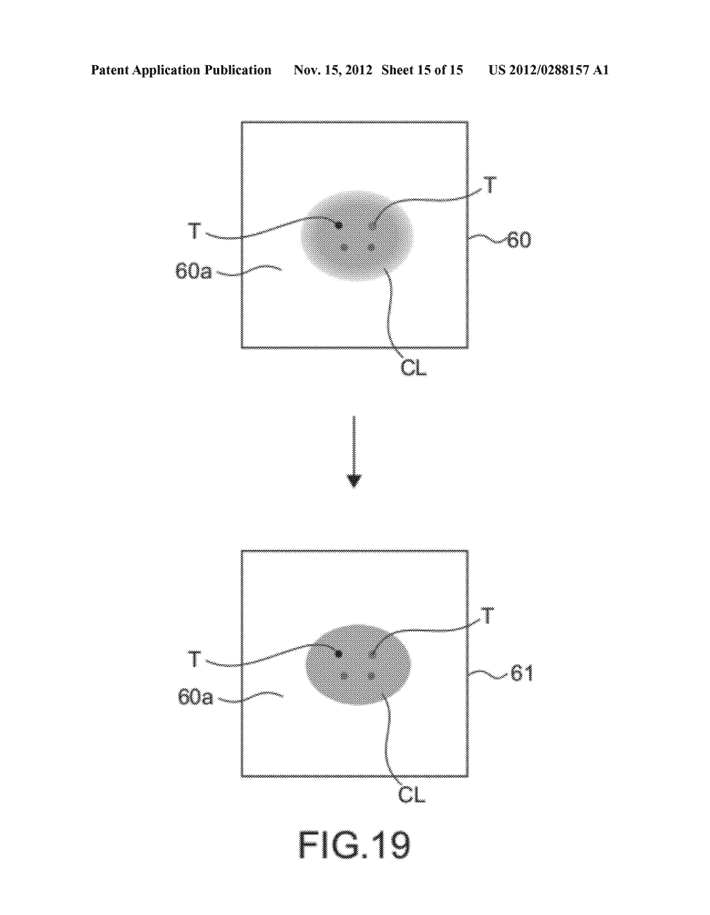 IMAGE PROCESSING APPARATUS, IMAGE PROCESSING METHOD, AND IMAGE PROCESSING     PROGRAM - diagram, schematic, and image 16