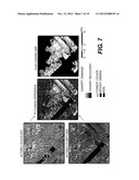 Remote Sensing Analysis of Forest Disturbances diagram and image