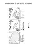 Remote Sensing Analysis of Forest Disturbances diagram and image