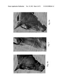 IMAGE ANALYSIS FOR DETERMINING CHARACTERISTICS OF ANIMALS diagram and image