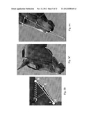 IMAGE ANALYSIS FOR DETERMINING CHARACTERISTICS OF ANIMALS diagram and image