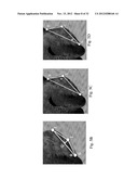 IMAGE ANALYSIS FOR DETERMINING CHARACTERISTICS OF ANIMALS diagram and image