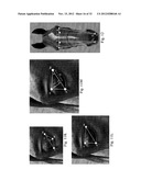 IMAGE ANALYSIS FOR DETERMINING CHARACTERISTICS OF ANIMALS diagram and image