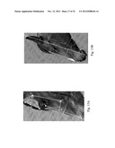 IMAGE ANALYSIS FOR DETERMINING CHARACTERISTICS OF ANIMALS diagram and image