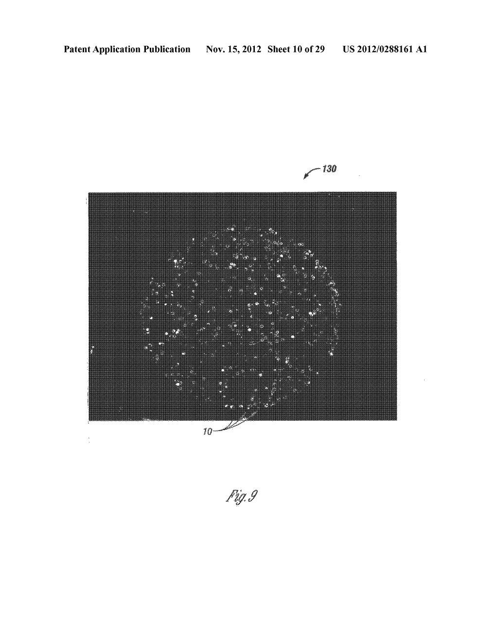 METHOD OF HIGH-THROUGHPUT POLLEN EXTRACTION, COUNTING, AND USE OF COUNTED     POLLEN FOR CHARACTERIZING A PLANT - diagram, schematic, and image 11