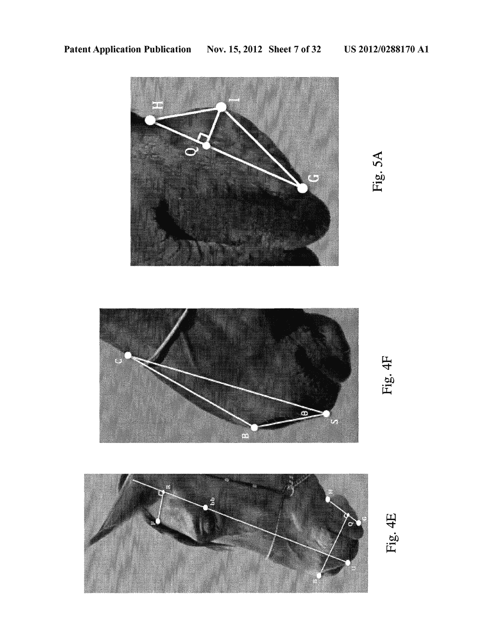 IMAGE ANALYSIS FOR DETERMINING CHARACTERISTICS OF HUMANS - diagram, schematic, and image 08