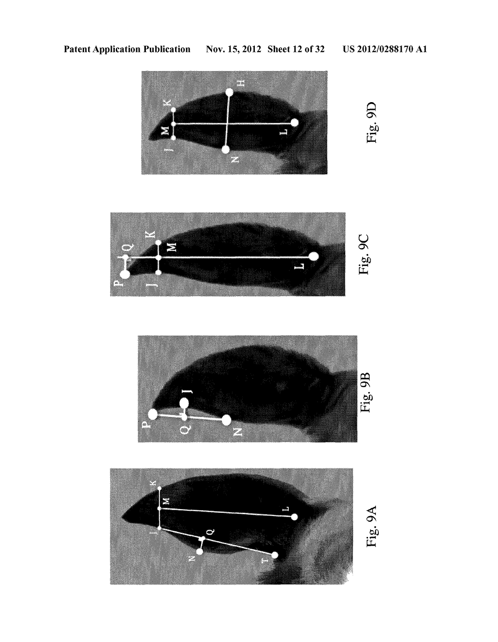 IMAGE ANALYSIS FOR DETERMINING CHARACTERISTICS OF HUMANS - diagram, schematic, and image 13