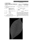 REMOVAL OF IMAGE ARTIFACTS FROM SENSOR DUST diagram and image