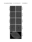 REMOVAL OF IMAGE ARTIFACTS FROM SENSOR DUST diagram and image