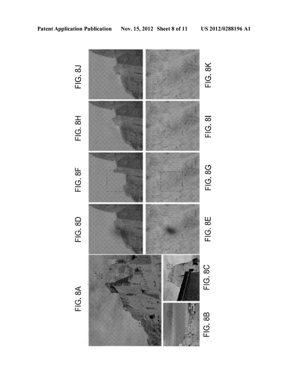 REMOVAL OF IMAGE ARTIFACTS FROM SENSOR DUST - diagram, schematic, and image 09