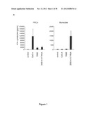 STRUCTURE AND USE OF 5  PHOSPHATE OLIGONUCLEOTIDES diagram and image