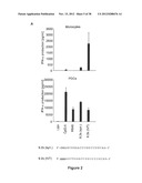 STRUCTURE AND USE OF 5  PHOSPHATE OLIGONUCLEOTIDES diagram and image