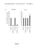 STRUCTURE AND USE OF 5  PHOSPHATE OLIGONUCLEOTIDES diagram and image