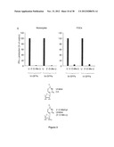 STRUCTURE AND USE OF 5  PHOSPHATE OLIGONUCLEOTIDES diagram and image