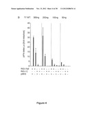 STRUCTURE AND USE OF 5  PHOSPHATE OLIGONUCLEOTIDES diagram and image