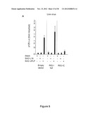 STRUCTURE AND USE OF 5  PHOSPHATE OLIGONUCLEOTIDES diagram and image