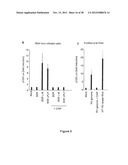 STRUCTURE AND USE OF 5  PHOSPHATE OLIGONUCLEOTIDES diagram and image