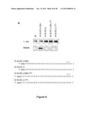 STRUCTURE AND USE OF 5  PHOSPHATE OLIGONUCLEOTIDES diagram and image